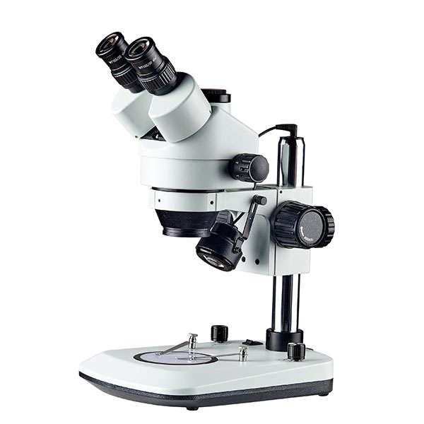 SZM7045T-B8L