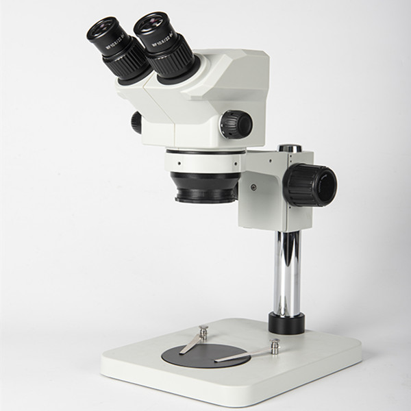 DG7060-B1